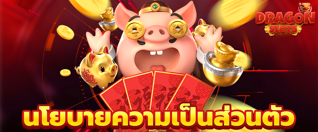 นโยบายความเป็นส่วนตัว